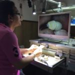 ingranditore digitale odontoiatria