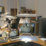 ingranditore digitale odontoiatria